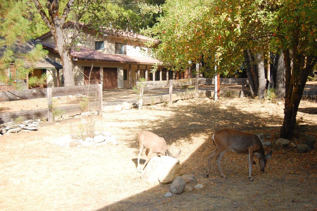 9N Fox Hollow Wawona Exteriör bild